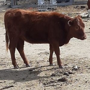 Meet your Posher, Emilee